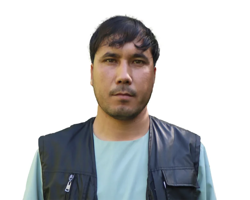 مرتضی حسنی، لیسانس