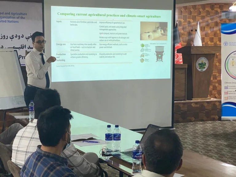 Daira Sabz Insights | Turning Climate Knowledge into Agricultural Planning