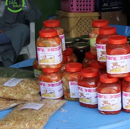 ارزیابی و آموزش تشبثات در جنوب و شرق افغانستان