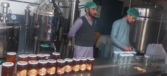 ارزیابی و آموزش تشبثات در جنوب و شرق افغانستان
